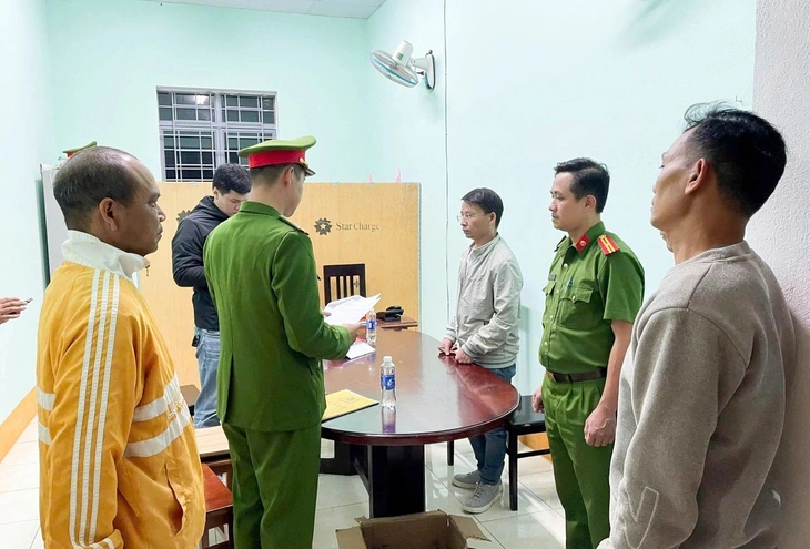 cây chổi vàng - Ảnh 1.