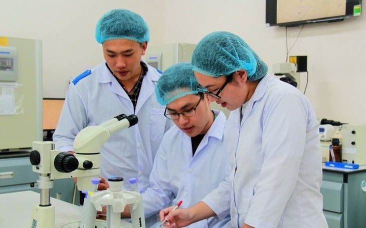 TP.HCM lần đầu vào tốp 5 hệ sinh thái đổi mới sáng tạo Đông Nam Á - Ảnh 2.