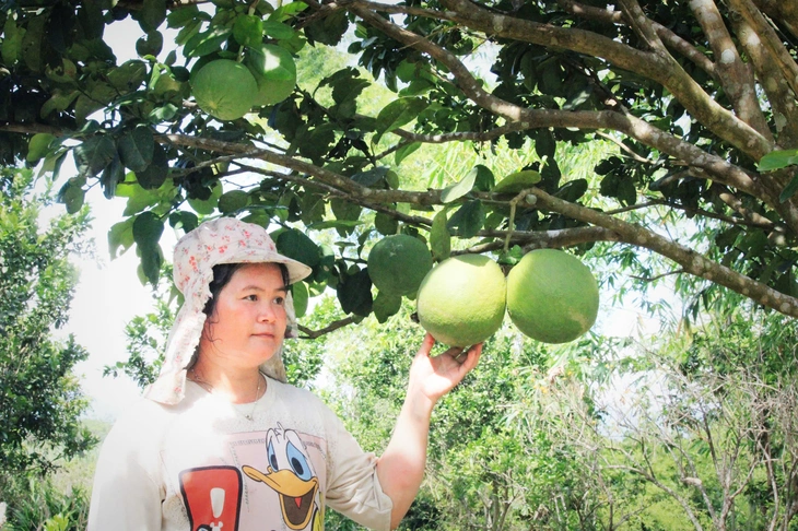 Về ngôi làng mang tên Bác Hồ của người Raglai - Ảnh 3. Bác Hồ - Ảnh 3.