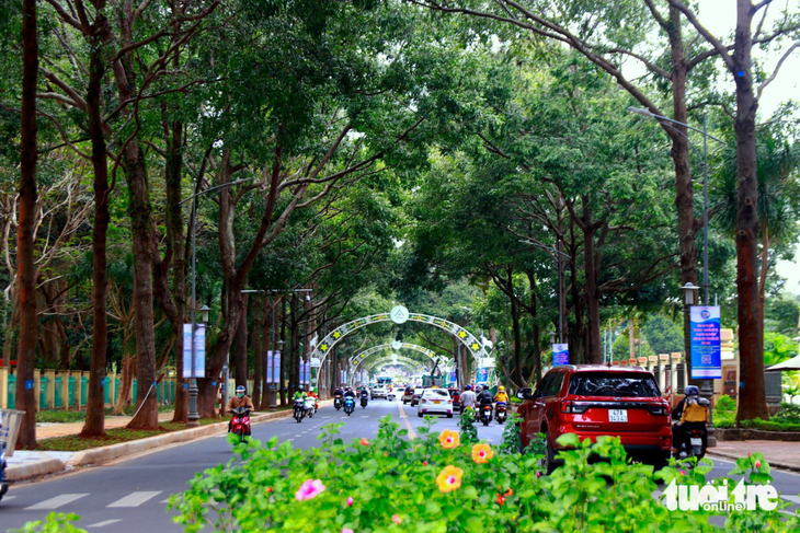buôn ma thuột - Ảnh 6.
