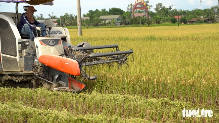 Liên kết sản xuất lúa hữu cơ bán ngay tại ruộng, nông dân lãi gấp 3 - Ảnh 3.