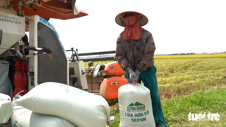 Liên kết sản xuất lúa hữu cơ bán ngay tại ruộng, nông dân lãi gấp 3 - Ảnh 4.
