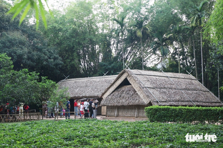 quê bác - Ảnh 4.