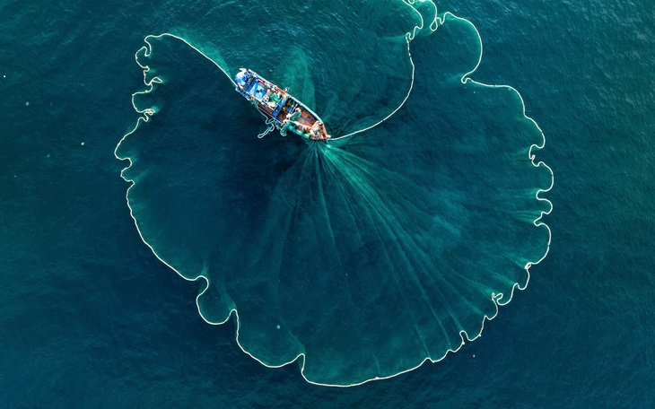 Gia Lai phát triển cảng cá Nhơn Lý thành cảng du lịch, thu hút du khách - Ảnh 2.