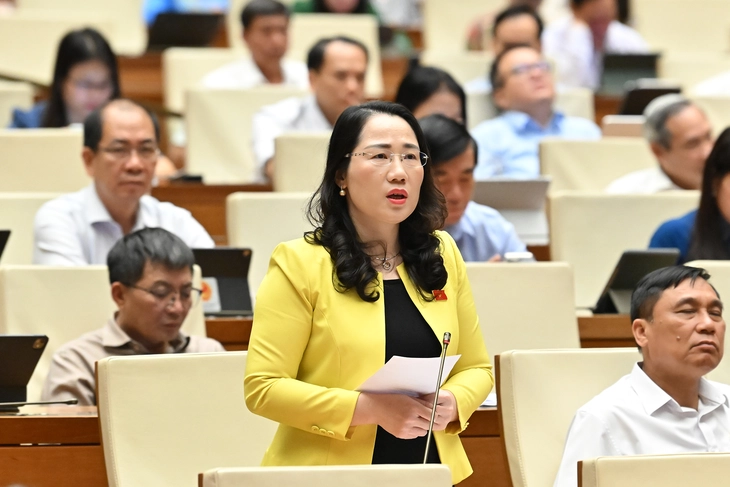 Chánh án tòa tối cao nói về lập tòa chuyên biệt ở Trung tâm tài chính quốc tế tại TP.HCM, Đà Nẵng - Ảnh 1.