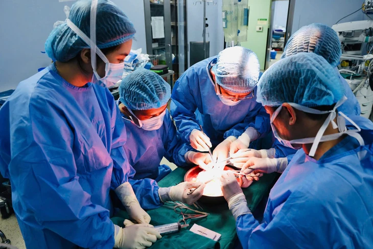 Sự sống hồi sinh trong ngày kỷ niệm 50 năm thống nhất đất nước - Ảnh 2. Sự sống hồi sinh trong ngày kỷ niệm 50 năm thống nhất đất nước - Ảnh 2.