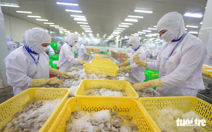 Từ tôm đến gỗ, nhiều doanh nghiệp Việt tăng tốc giao hàng sang Mỹ - Ảnh 1. Từ tôm đến gỗ, nhiều doanh nghiệp Việt tăng tốc giao hàng sang Mỹ - Ảnh 1.