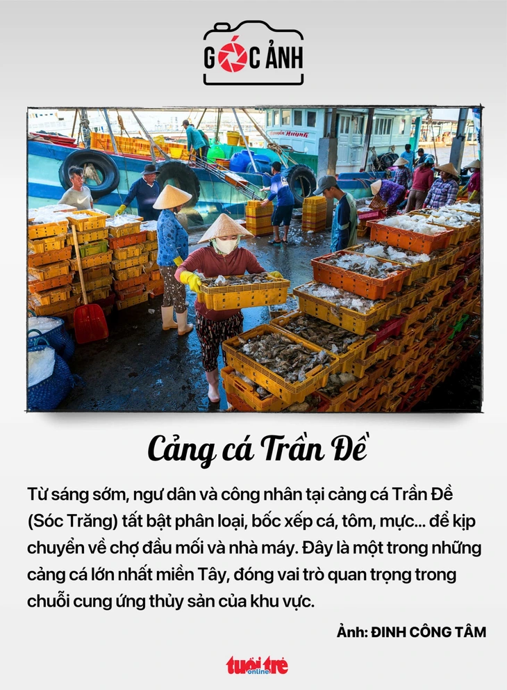 diễu binh - Ảnh 5.