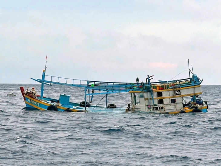 Tàu hàng quốc tịch Liberia đâm chìm tàu cá Việt Nam rồi bỏ đi, 10 ngư dân được cứu sống - Ảnh 1.