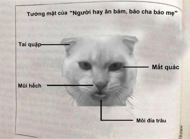 metro - Ảnh 3.