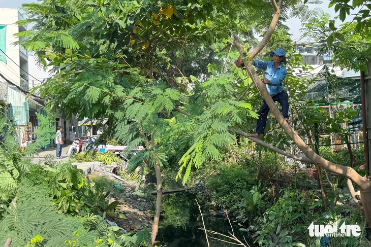 kênh Hy Vọng - Ảnh 1.