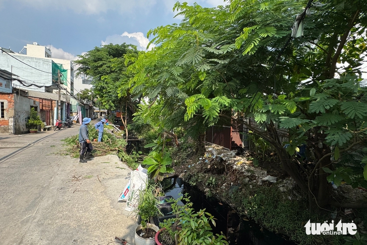 kênh Hy Vọng - Ảnh 2.