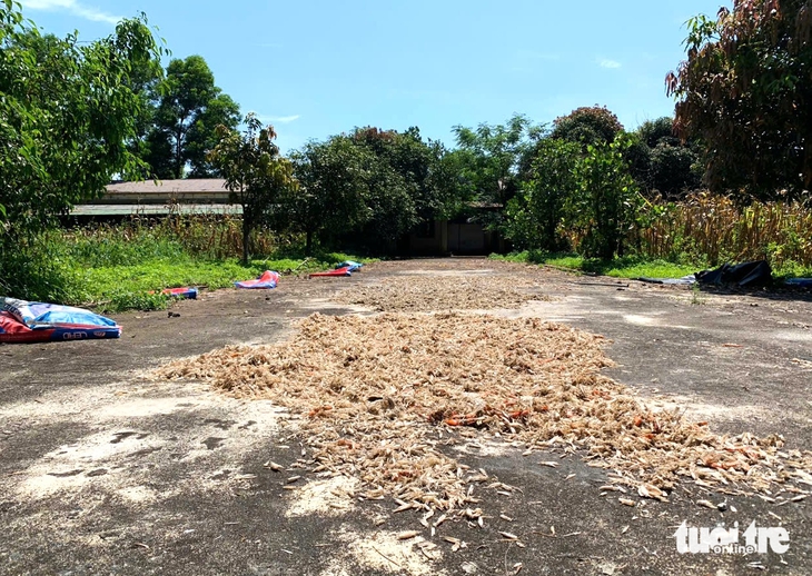 Trung tâm dạy nghề cho người khuyết tật xây tiền tỉ, dùng vài năm rồi bỏ hoang - Ảnh 5.