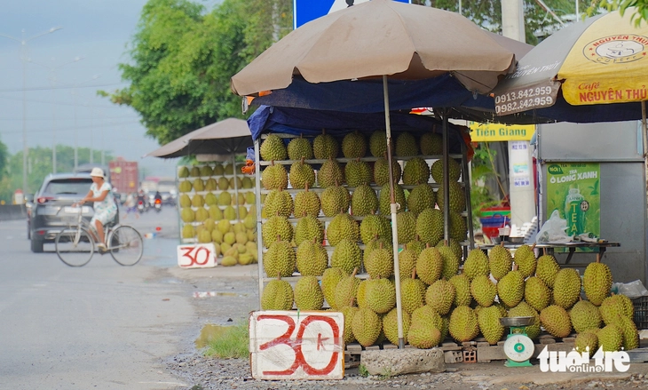 sầu riêng miền Tây - Ảnh 1.