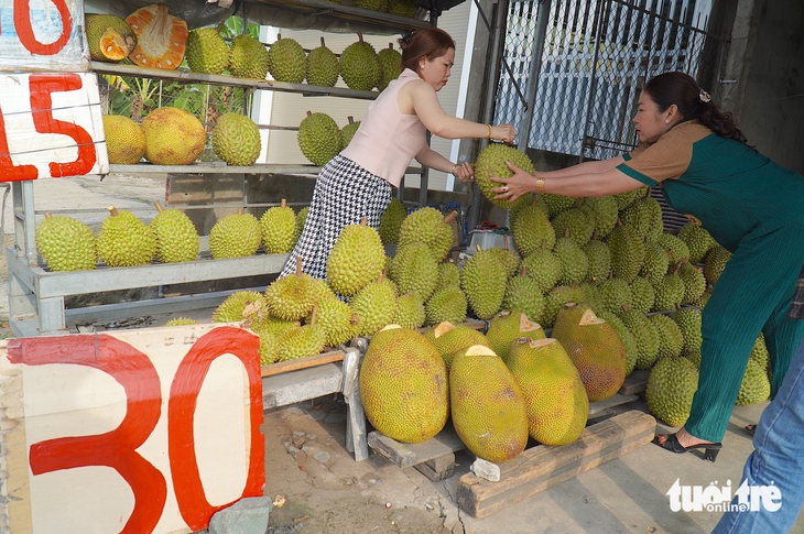 sầu riêng miền Tây - Ảnh 2.