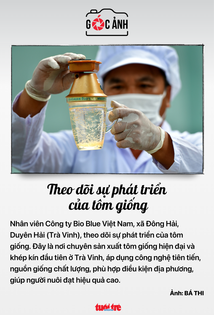 Quốc hội - Ảnh 5.