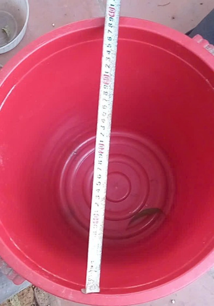 Ngã vào xô chứa 15cm nước, bé gái đuối nước nguy kịch - Ảnh 2. đuối nước - Ảnh 2.