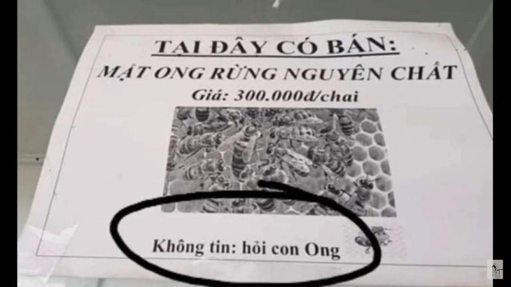 con ong - Ảnh 1.