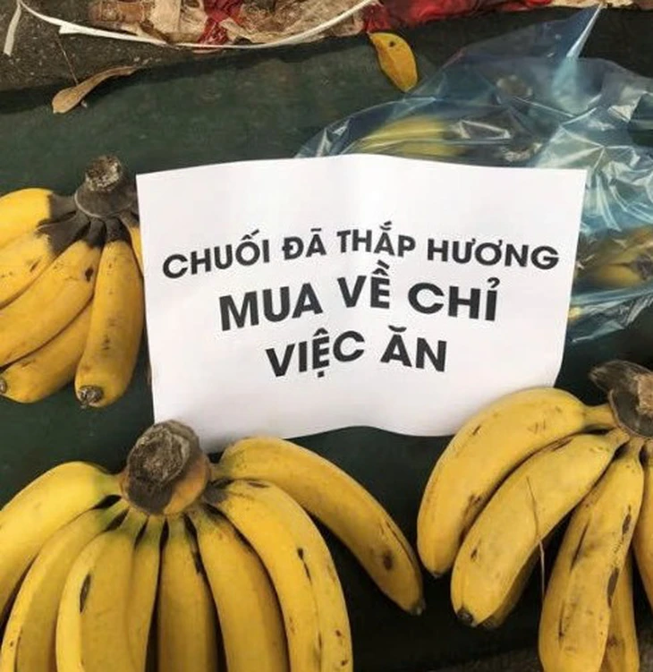 con ong - Ảnh 5.
