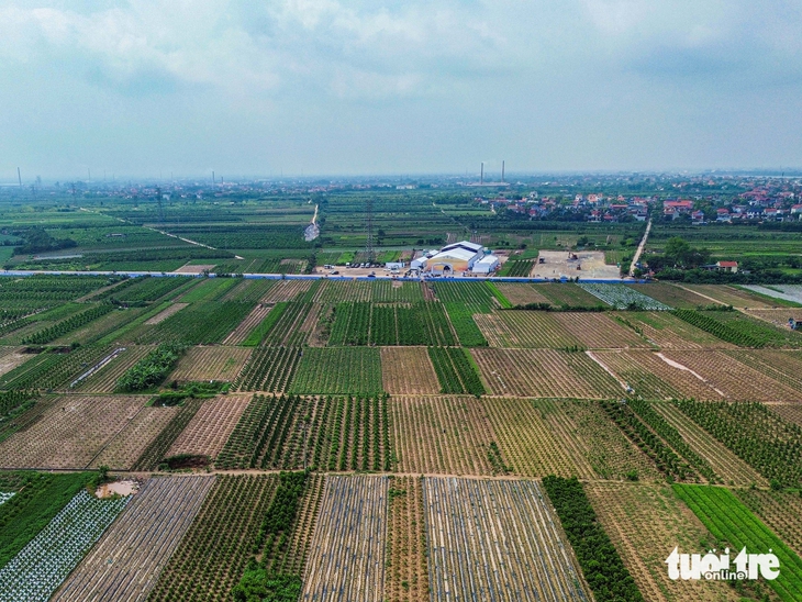 dự án - Ảnh 6.