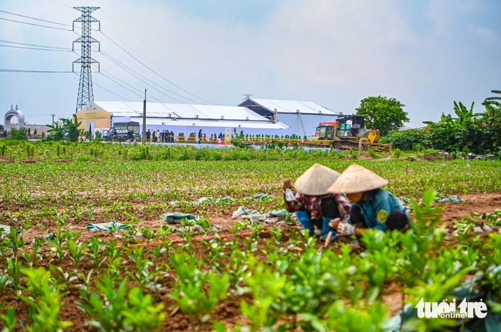 dự án - Ảnh 8.