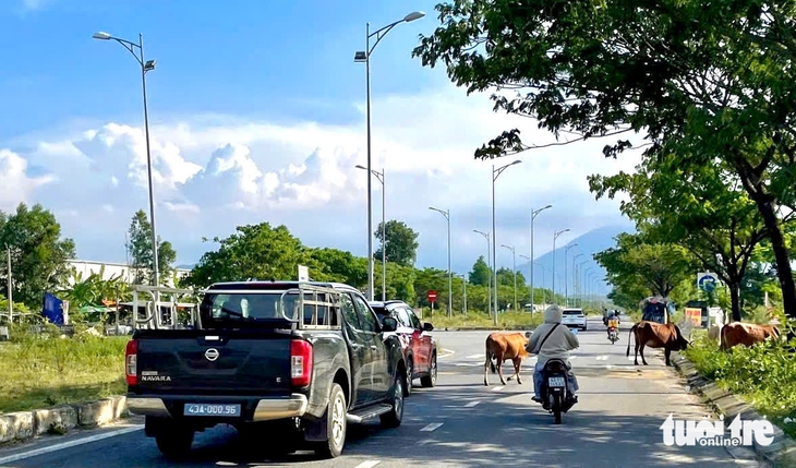 Đà Nẵng - Ảnh 1.