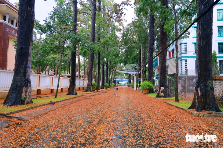 Trà Vinh - Ảnh 3.