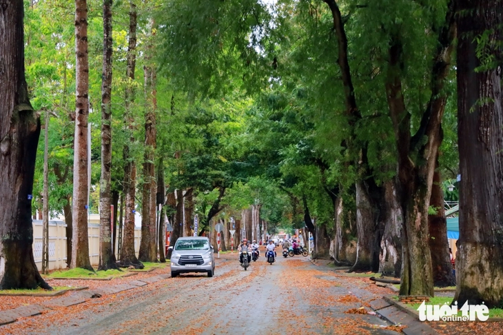 Trà Vinh - Ảnh 5.