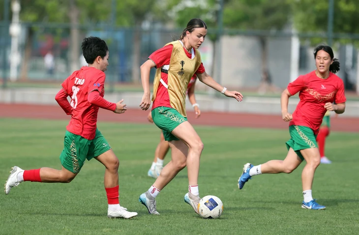 Chờ viết tiếp hành trình lịch sử - Ảnh 1. AFC Champions League - Ảnh 1.