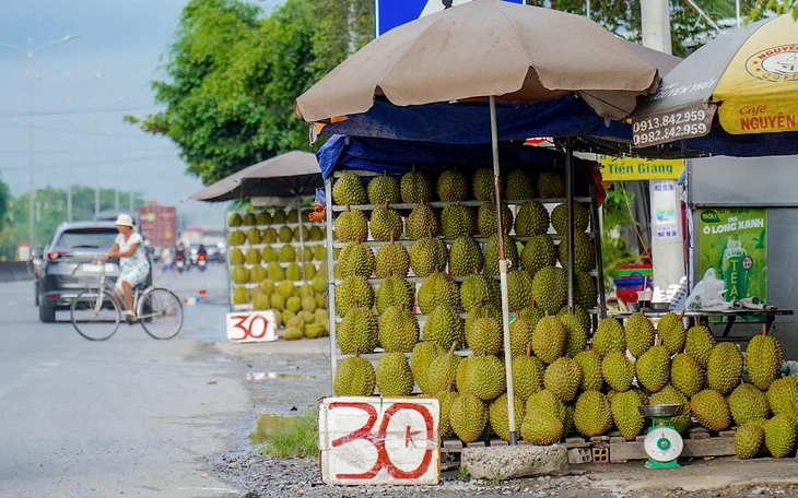 Phó thủ tướng yêu cầu xử lý thông tin liên quan đến trái sầu riêng - Ảnh 3.