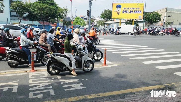 vạch mắt võng - Ảnh 4.