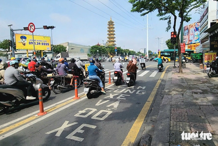 vạch mắt võng - Ảnh 6.