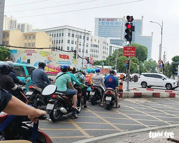 vạch mắt võng - Ảnh 9.