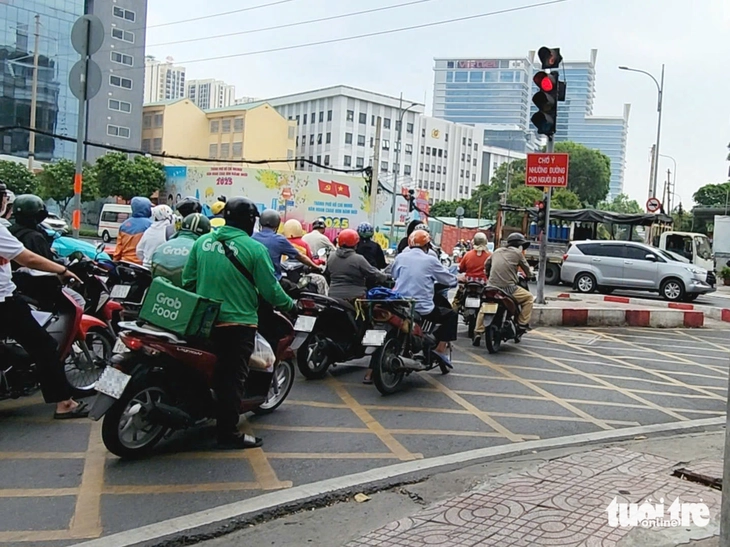 vạch mắt võng - Ảnh 7.