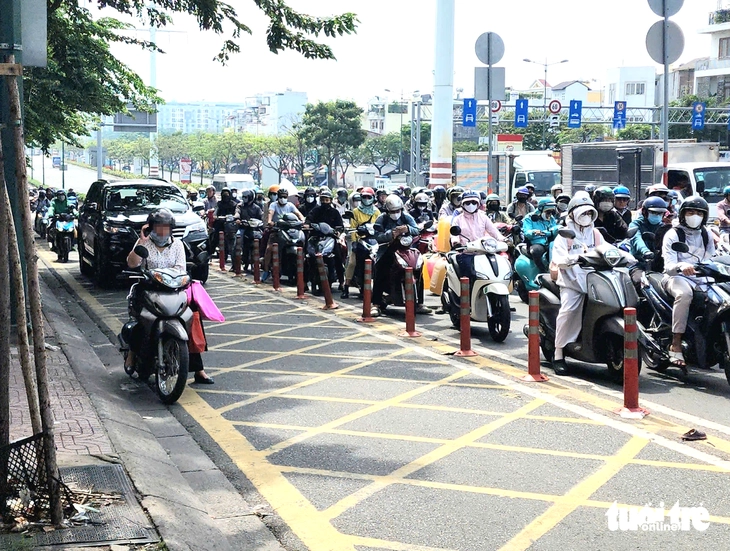 vạch mắt võng - Ảnh 1.