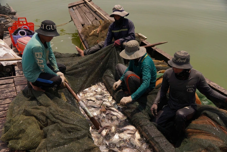 dầu tiếng - Ảnh 4.