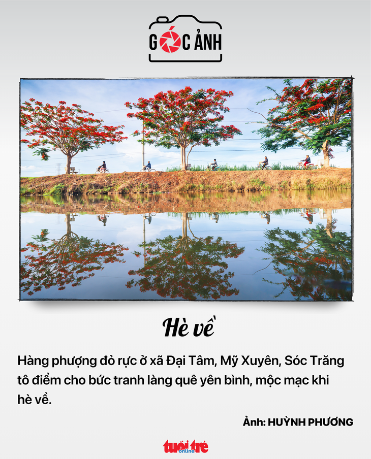 Bạch Mai - Ảnh 4.
