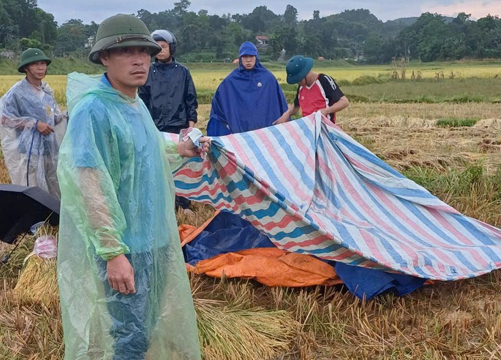sét đánh - Ảnh 1.