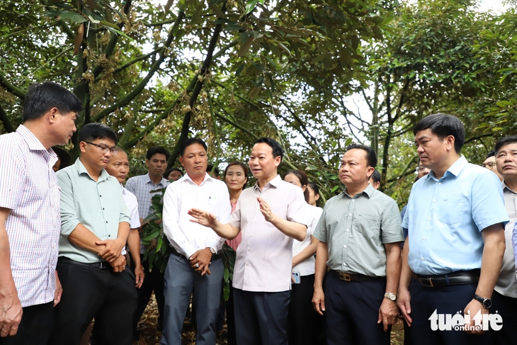 sầu riêng - Ảnh 1.