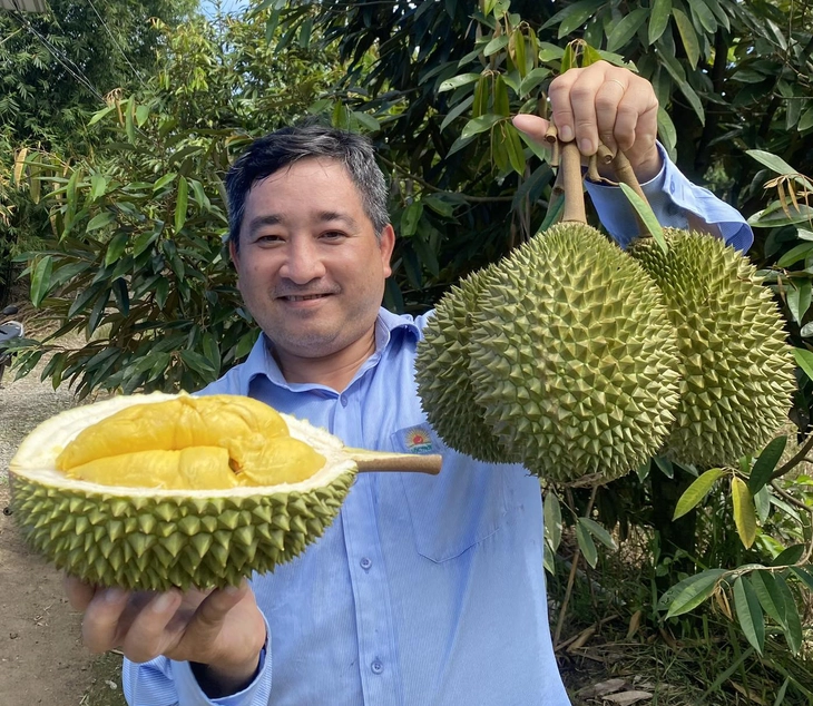 sầu riêng - Ảnh 1.