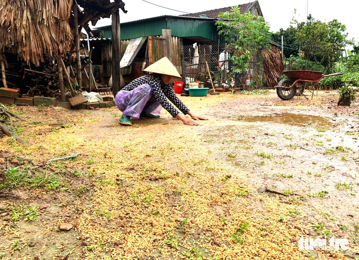 vụ mùa - Ảnh 1.