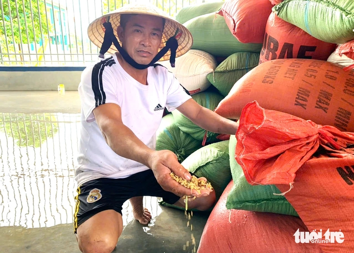 vụ mùa - Ảnh 6.