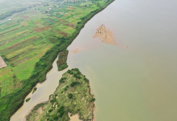 đấu giá - Ảnh 1.