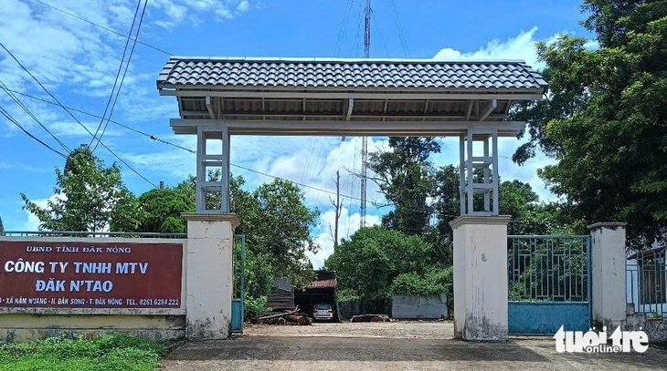 công ty lâm nghiệp - Ảnh 1.