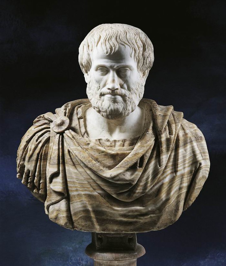 Aristotle - Ảnh 1.