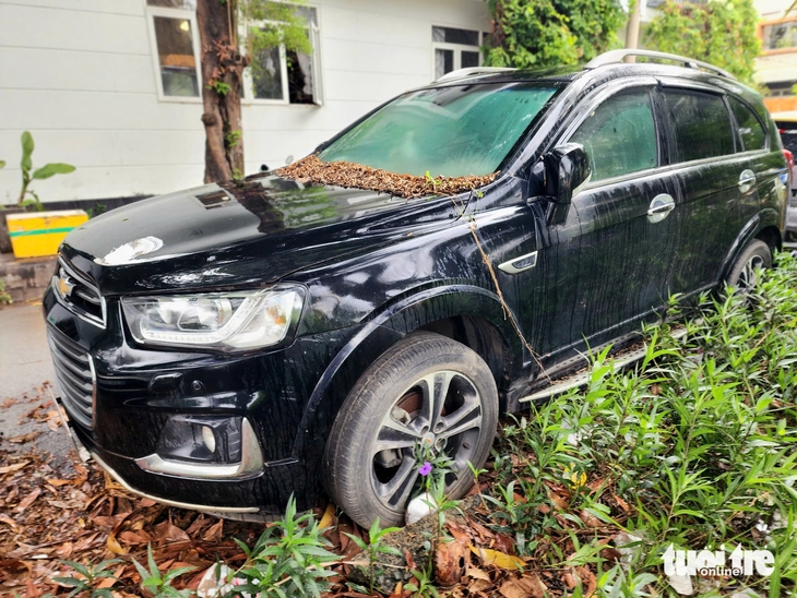 Xe hơi 7 chỗ đậu suốt 2 năm bên đường ở quận 7 đã di chuyển đi nơi khác - Ảnh 1.