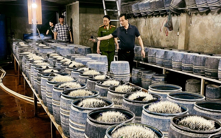 Khởi tố 3 người ủ giá đỗ bằng hóa chất có hại cho sức khỏe  - Ảnh 5.
