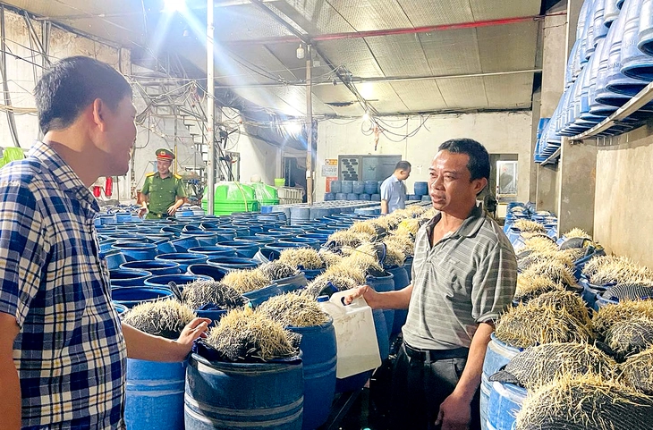 Lại phát hiện hàng trăm tấn giá đỗ được ủ bởi hóa chất có hại cho sức khỏe - Ảnh 1.