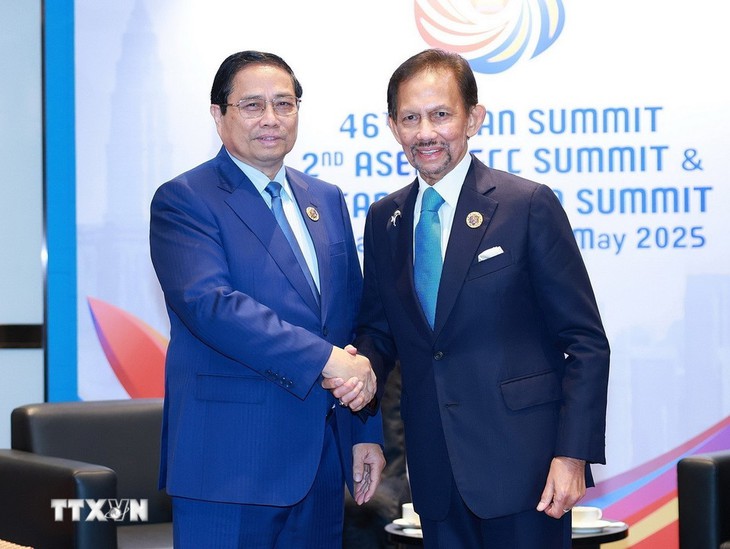 Quốc Vương Brunei muốn thăm Việt Nam trong năm nay - Ảnh 1. Brunei - Ảnh 1.