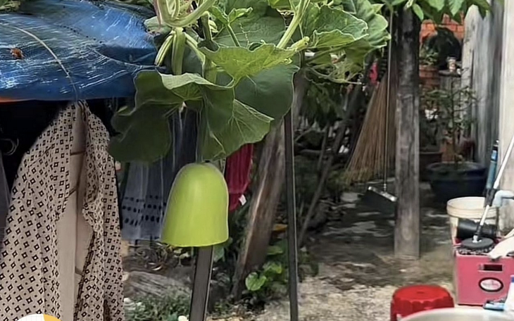 Hậu drama Thùy Tiên, Miss Grand International 2024 từ bỏ vương miện - Ảnh 3.